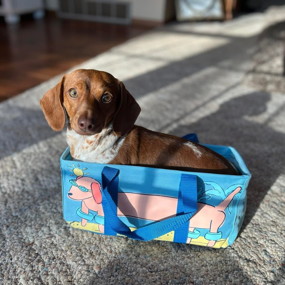 Tropical Flamingo and Pineapple Tote Bag - Picture 5 of 5